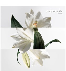 A Garden on the Lagoon - Eau de toilette A Garden on the Lagoon - Eau de toilette